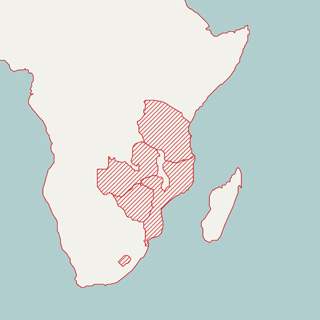 Afrika Karte